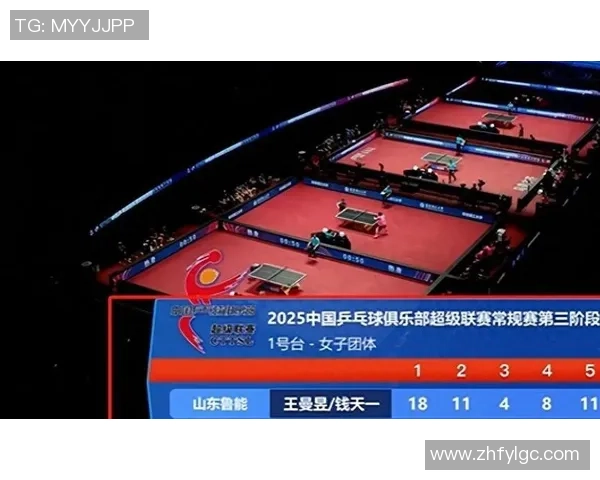 杭州乒乓球队实力引发热议球迷与专家观点交锋解析 杭州乒乓球队实力引发热议球迷与专家观点交锋解析